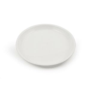 Ivory Porcelain Round Flat Plate 9"