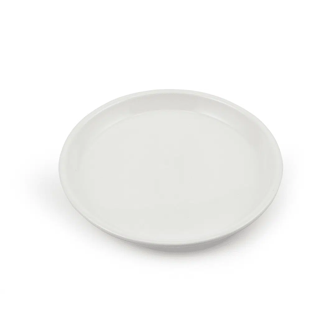Ivory Porcelain Round Flat Plate 9"